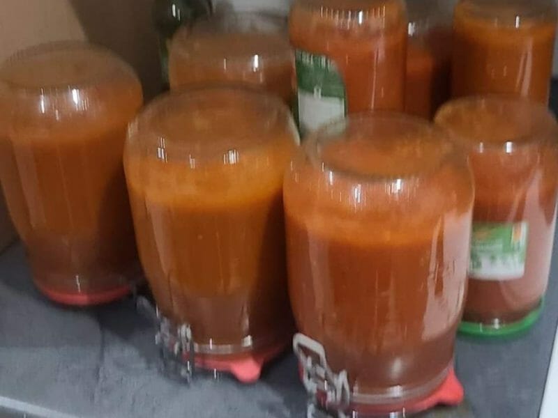 Cliquez pour zoomer ! Coulis de tomates Thermomix par pascalegvti