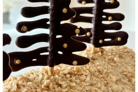 Cliquez pour zoomer ! Bûche pralinée aux éclats de noisettes caramélisés Thermomix par nathalie_borella