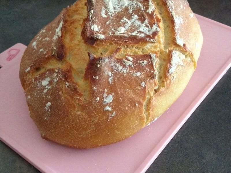 Cliquez pour zoomer ! Pain Cocotte Thermomix par didiedu27