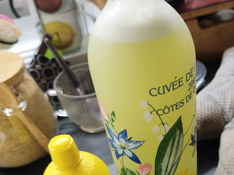 Cliquez pour zoomer ! Limonade au concombre Thermomix par Missjoss