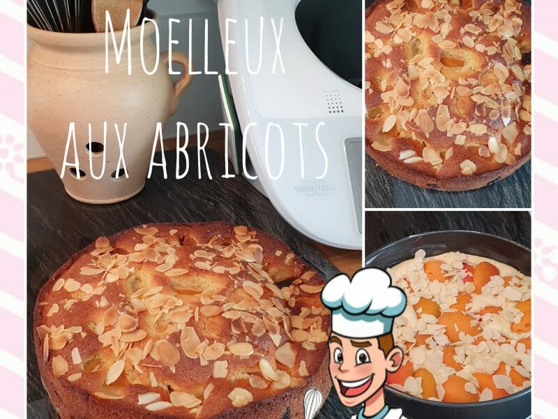 Cliquez pour zoomer ! Gâteau moelleux aux abricots Thermomix par Francky