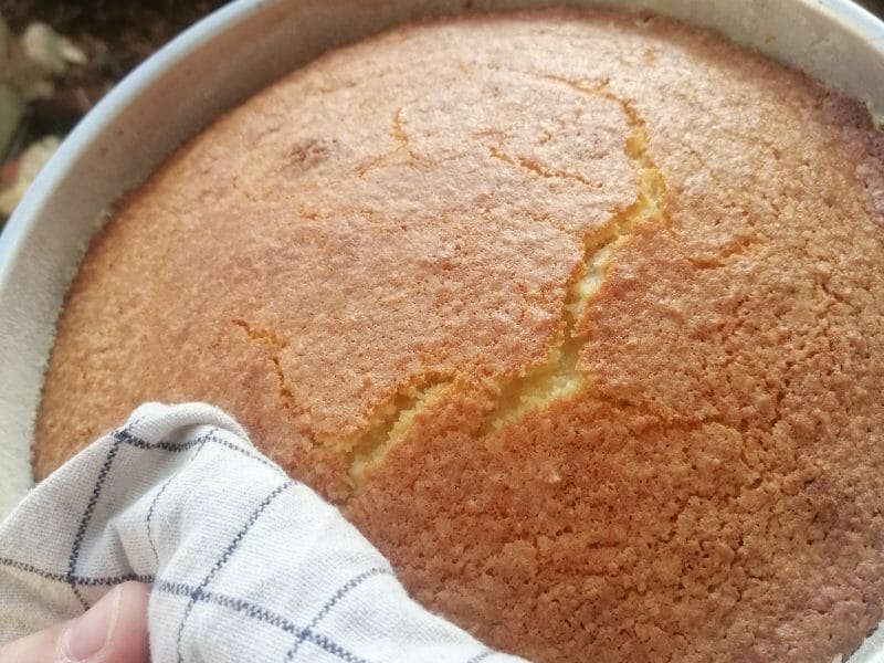 Cliquez pour zoomer ! Cake à la noix de coco Thermomix par julie_245