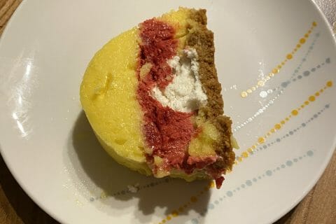 Cliquez pour zoomer ! Bûche glacée mangue et framboise Thermomix par sandy_18