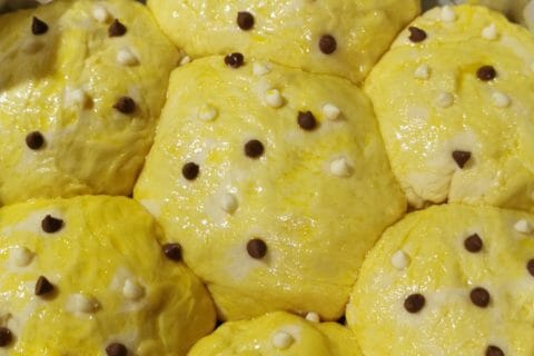 Cliquez pour zoomer ! Brioche Buchty Thermomix par cathy68600