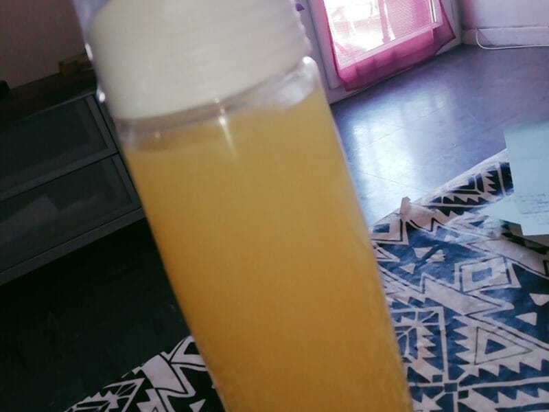 Cliquez pour zoomer ! Sirop de gingembre Thermomix par cari242