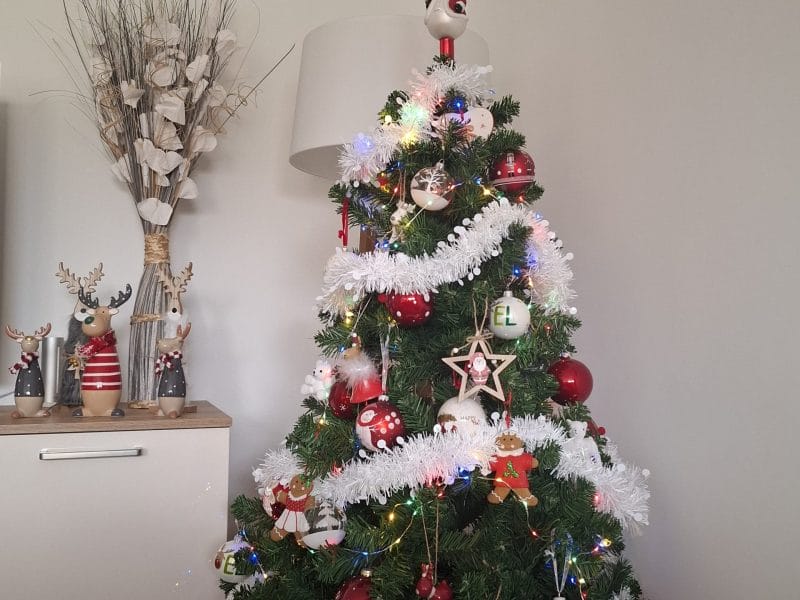 Cliquez pour zoomer ! Frites de légumes Thermomix par Petroni