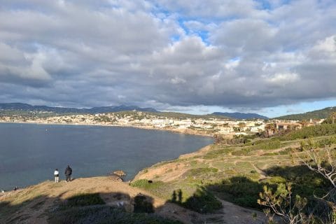 Cliquez pour zoomer ! Pizza liquide Thermomix par Petroni