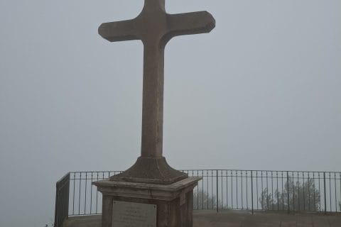 Cliquez pour zoomer ! Lasagnes aux carottes Thermomix par Petroni