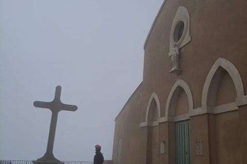 Cliquez pour zoomer ! Lasagnes aux carottes Thermomix par Petroni