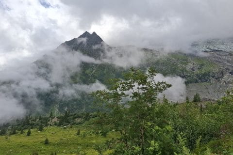 Cliquez pour zoomer ! Ratatouille Thermomix par Petroni