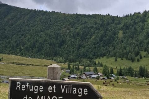 Cliquez pour zoomer ! Ratatouille Thermomix par Petroni