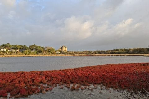 Cliquez pour zoomer ! Backed beans à l’Américaine Thermomix par Petroni