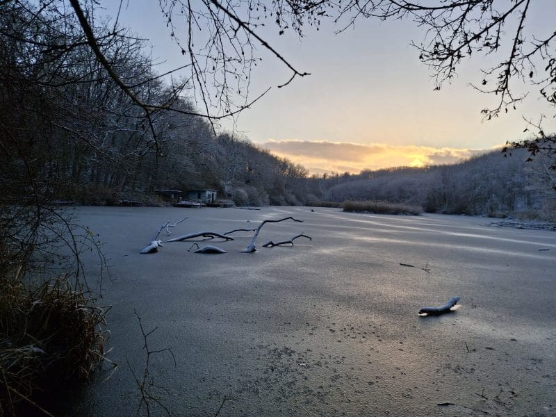 Cliquez pour zoomer ! Soupe aux haricots rouges et coquillettes Thermomix par Petroni