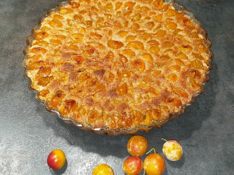 Tarte Aux Mirabelles Au Thermomix Cookomix Tarte Aux Mirabelles Au Thermomix Cookomix