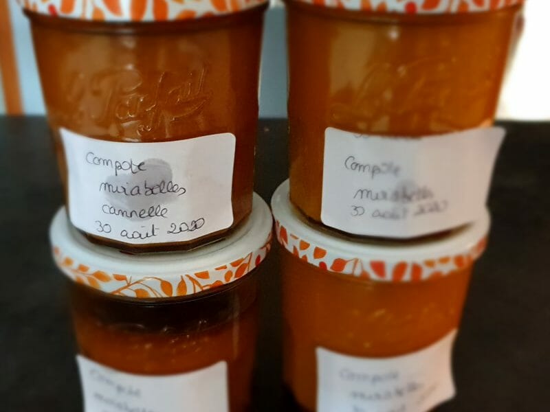 Compote De Mirabelles Au Thermomix Cookomix