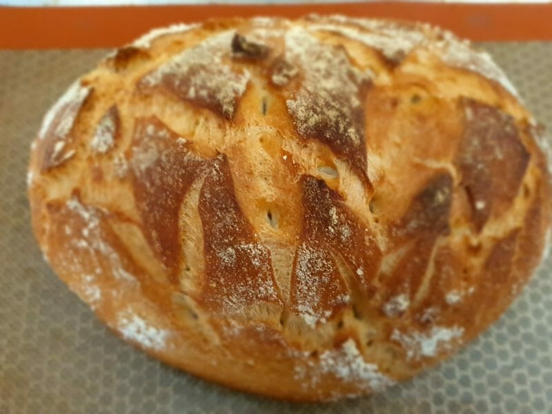 Cliquez pour zoomer ! Pain Cocotte Thermomix par Petroni