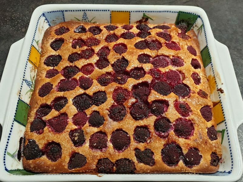 Cliquez pour zoomer ! Gâteau aux fraises Thermomix par Petroni
