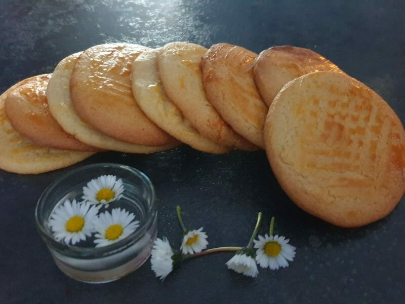 Cliquez pour zoomer ! Sablés nantais Thermomix par Petroni