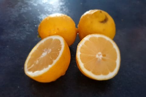 Cliquez pour zoomer ! Granité de citron Thermomix par Petroni