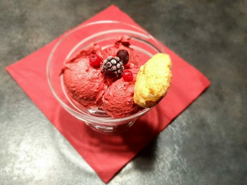 Cliquez pour zoomer ! Sorbet aux fruits rouges Thermomix par Petroni