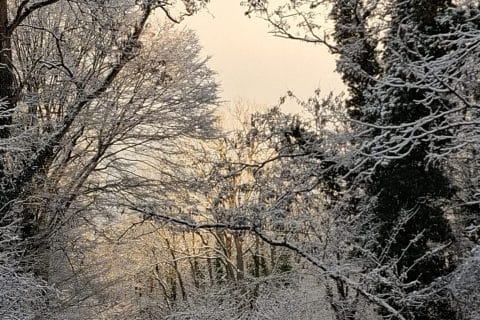 Cliquez pour zoomer ! Soupe aux haricots rouges et coquillettes Thermomix par Petroni