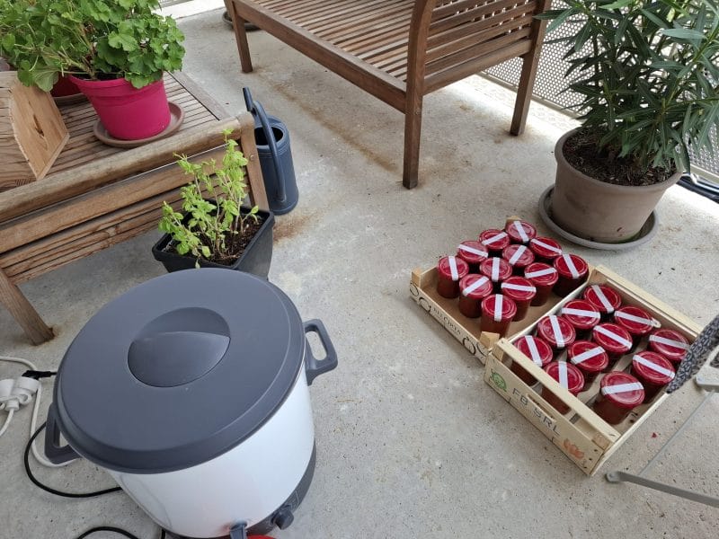 Cliquez pour zoomer ! Coulis de tomates Thermomix par Petroni