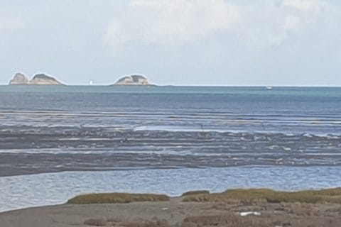 Cliquez pour zoomer ! Pain de mie aux blancs d’oeufs et aux graines de céréales Thermomix par Petroni