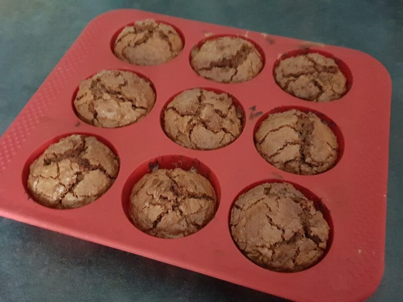 Cliquez pour zoomer ! Gâteau chocolat noix de coco Thermomix par Petroni