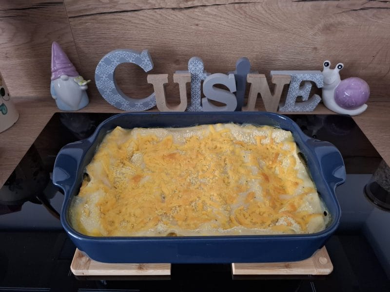 Cliquez pour zoomer ! Lasagnes de légumes Thermomix par Petroni