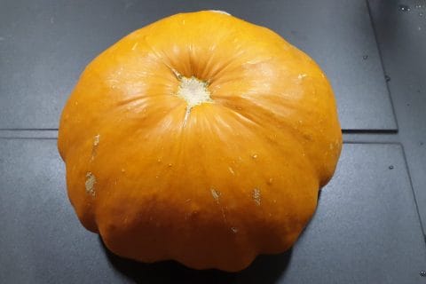 Cliquez pour zoomer ! Velouté de pâtisson Thermomix par Petroni