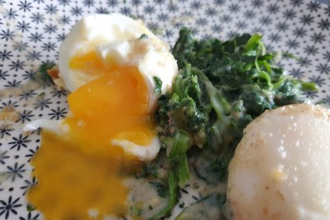 Cliquez pour zoomer ! Oeufs à la florentine Thermomix par Petroni