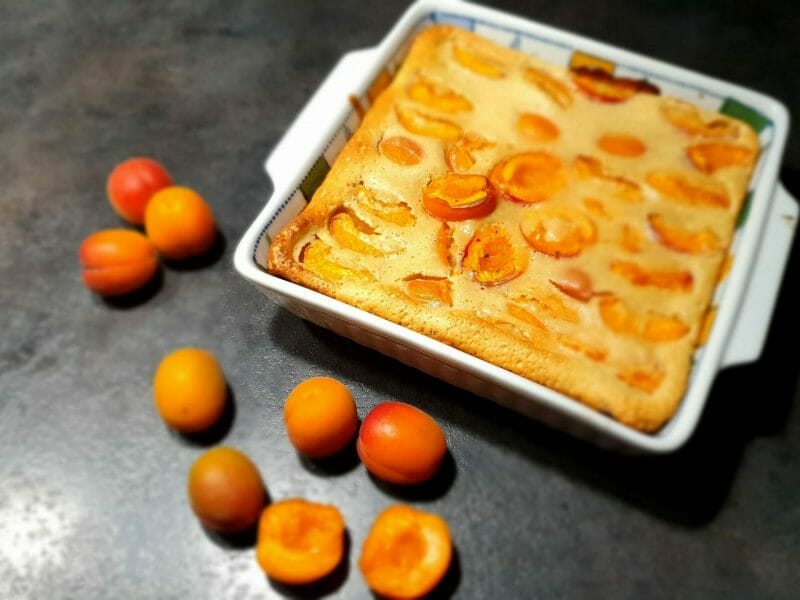 Cliquez pour zoomer ! Far aux abricots Thermomix par Petroni