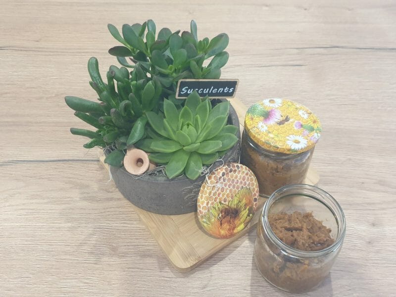 Cliquez pour zoomer ! Caviar d’aubergine Thermomix par Petroni