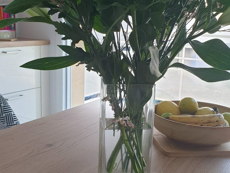 Smoothie pomme banane au Thermomix - Cookomix