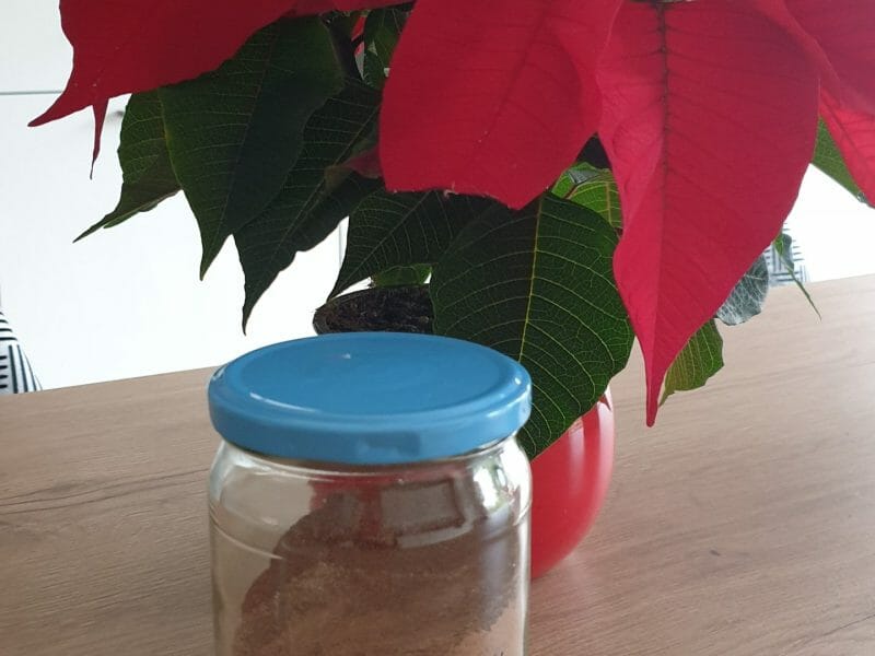 Cliquez pour zoomer ! Cacao maison Thermomix par Petroni