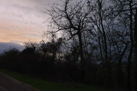 Cliquez pour zoomer ! Soupe de poireaux Thermomix par Petroni