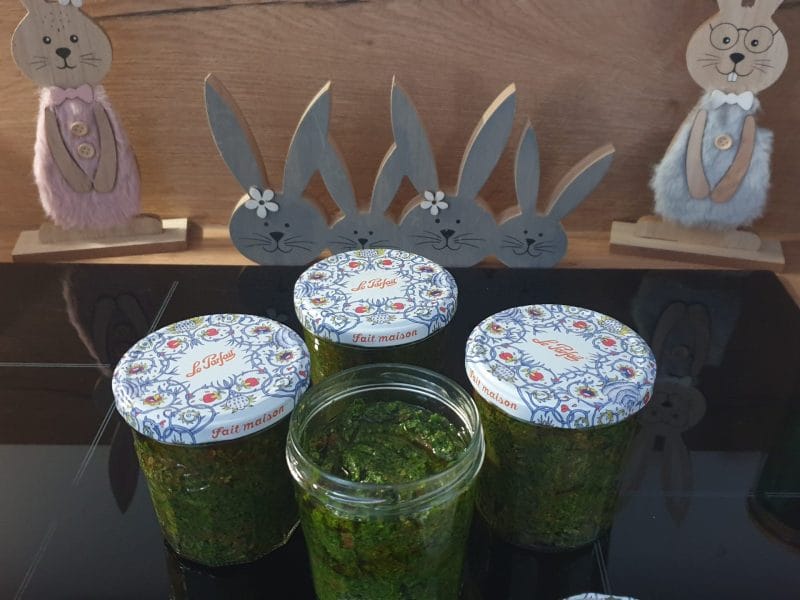 Cliquez pour zoomer ! Pesto aux tomates séchées et à l’ail des ours Thermomix par Petroni