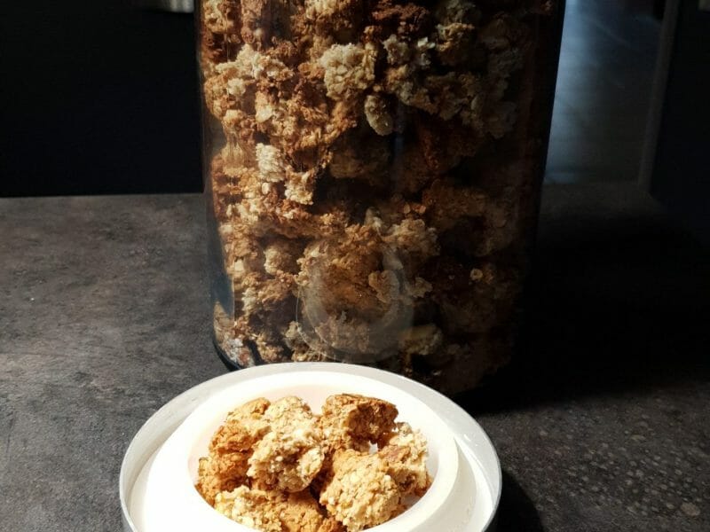 Cliquez pour zoomer ! Granola dattes et banane Thermomix par Petroni