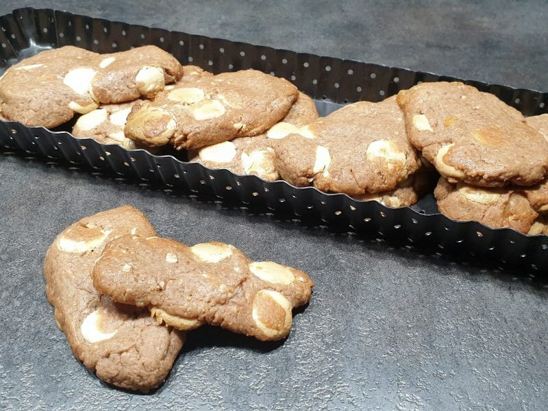 Cliquez pour zoomer ! Biscuits belvita Thermomix par Petroni