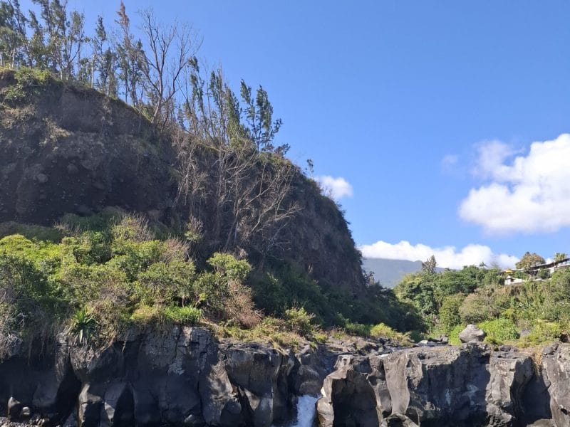 Cliquez pour zoomer ! Photo de petroni Thermomix par Petroni