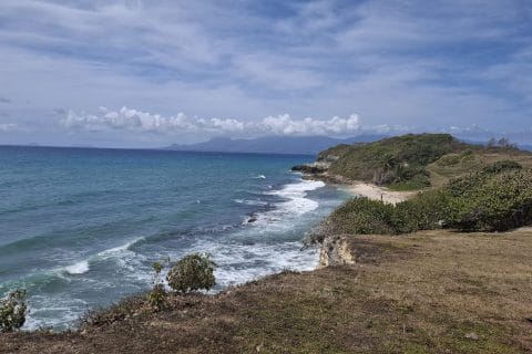 Cliquez pour zoomer ! Photo de Petroni Thermomix par Petroni