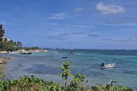 Cliquez pour zoomer ! Photo de Petroni