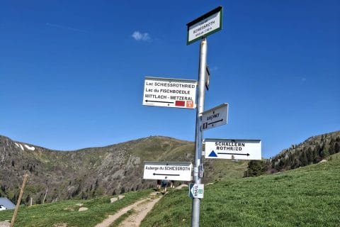 Cliquez pour zoomer ! Photo de Petroni