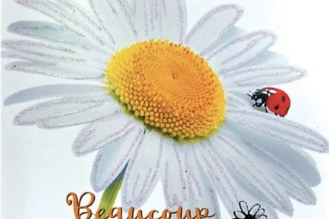 Cliquez pour zoomer ! Photo de Petroni