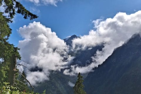 Cliquez pour zoomer ! Photo de Petroni