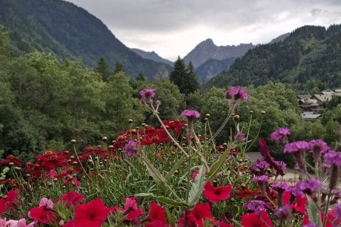 Cliquez pour zoomer ! Photo de Petroni