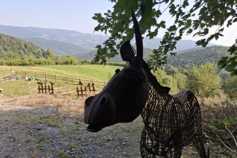 Cliquez pour zoomer ! Photo de Petroni