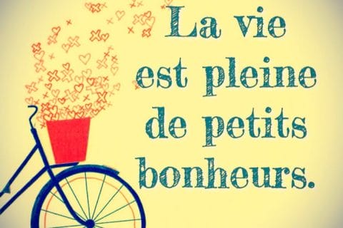 Cliquez pour zoomer ! Photo de Petroni