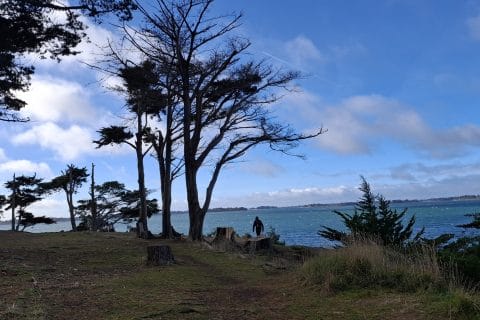 Cliquez pour zoomer ! Photo de Petroni