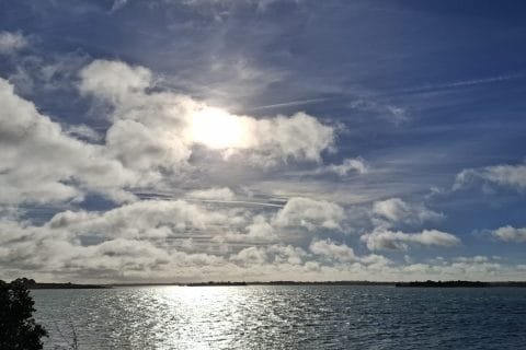 Cliquez pour zoomer ! Photo de Petroni